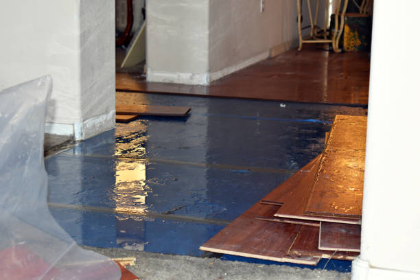 Professional Basement Flood Cleanup technician working in Burnet, TX